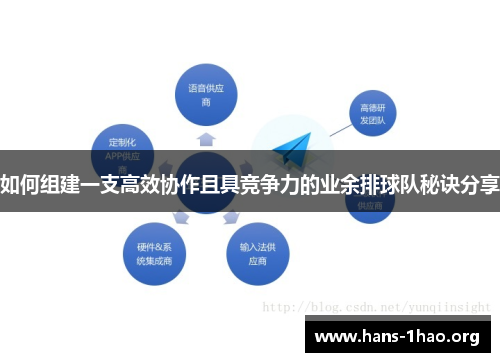 如何组建一支高效协作且具竞争力的业余排球队秘诀分享