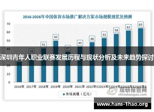 深圳青年人职业联赛发展历程与现状分析及未来趋势探讨