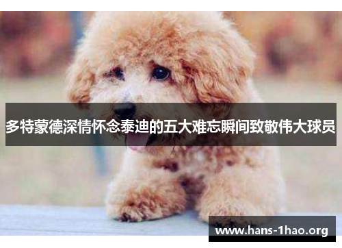 多特蒙德深情怀念泰迪的五大难忘瞬间致敬伟大球员