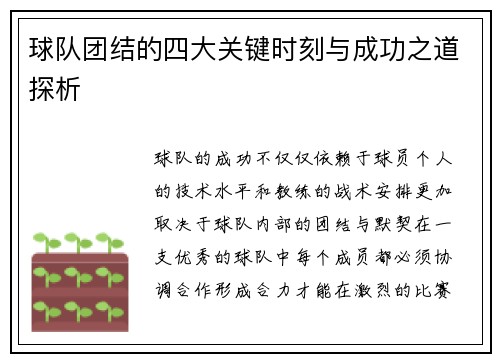 球队团结的四大关键时刻与成功之道探析