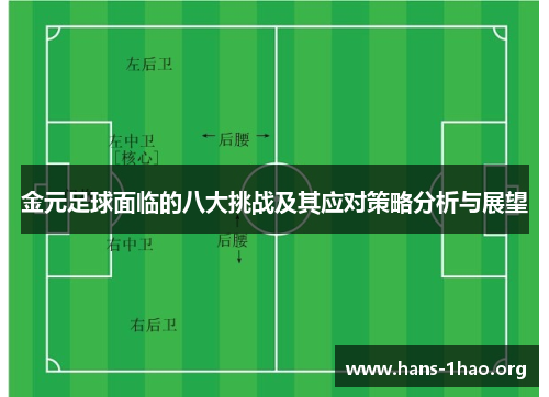 金元足球面临的八大挑战及其应对策略分析与展望