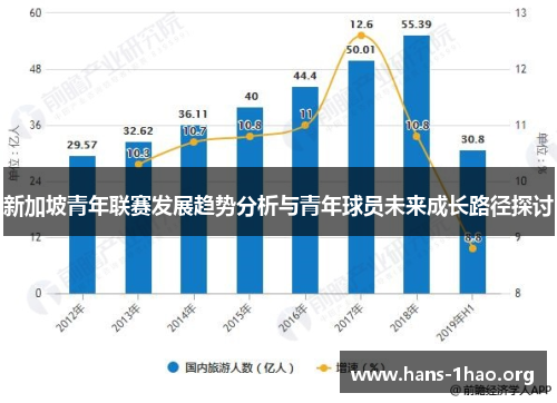 新加坡青年联赛发展趋势分析与青年球员未来成长路径探讨